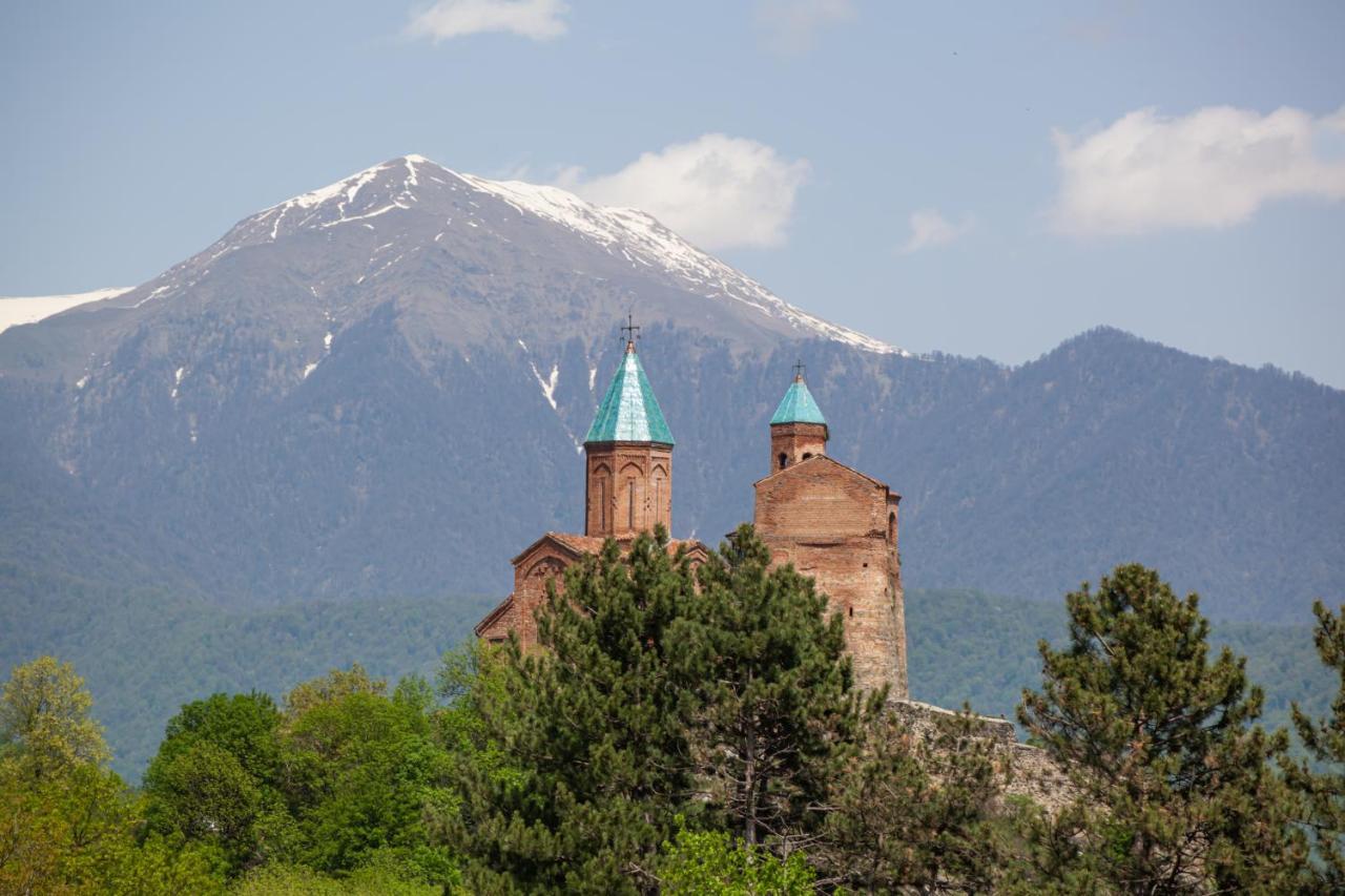 Chateau Gremisio Кварелі Екстер'єр фото